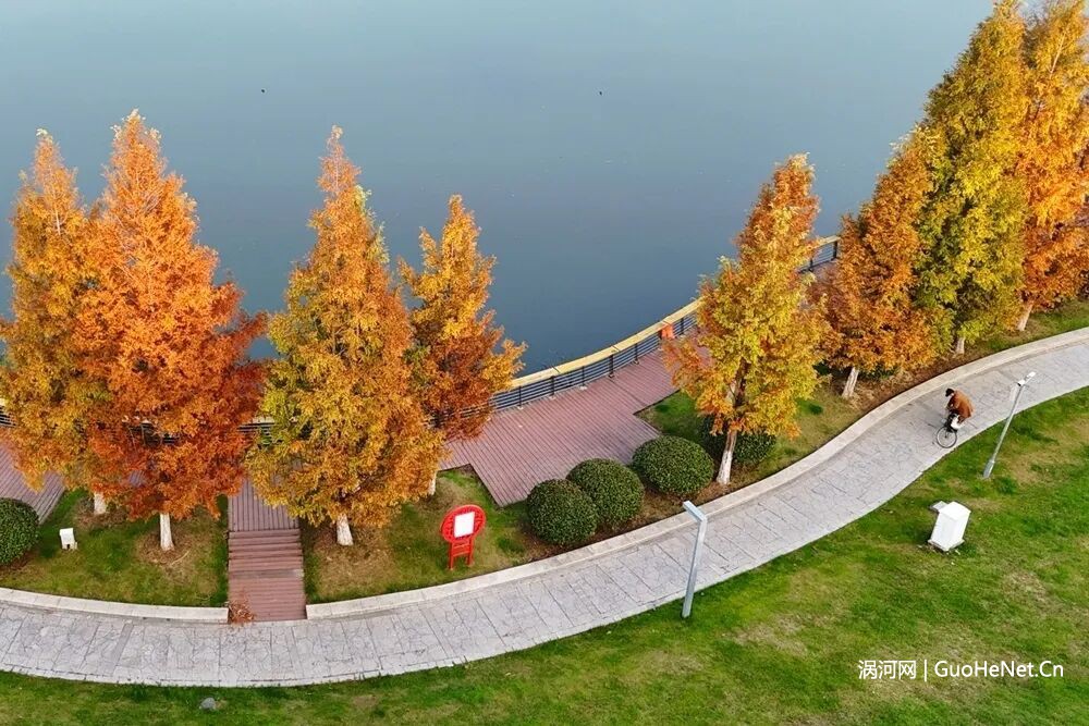 打造宜居城市 繪就初冬美麗畫卷